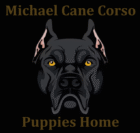 Jonathan Cane Corso Puppies Home
