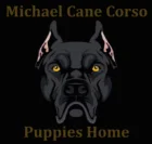 Michael Cane Corso  Puppies Home